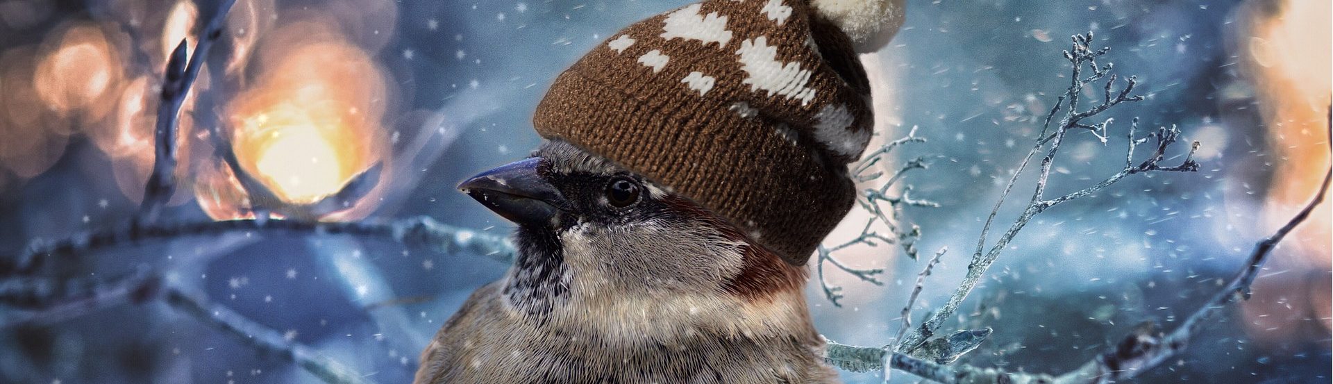 Klíma-Szabó és Hűtő-Szabó